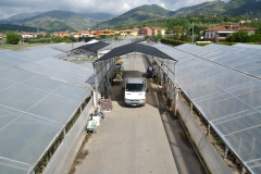 Rosellini Stefano