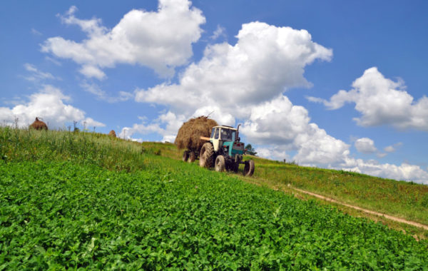 Bando Isi agricoltura prorogato: 45 milioni per macchine agricole e giovani