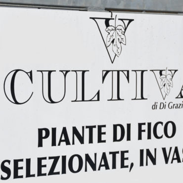 Az. Agr. Cultiva di Di Grazia Silvia