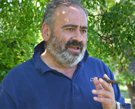 Marco Canestrelli